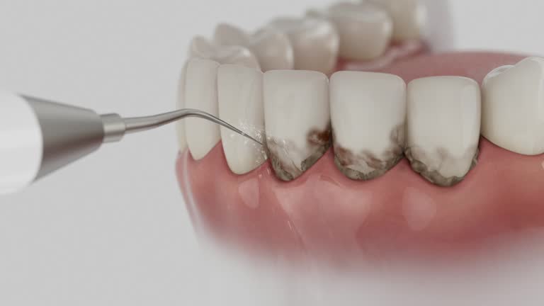 Reliable Dental contractor in Falls Church, VA by Dentist Open Now